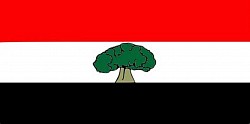Flag
